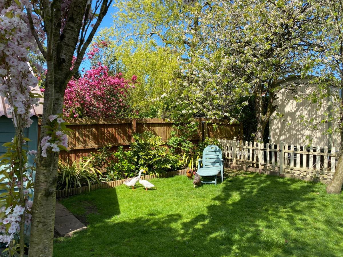 The Duck House Appartement Swansea Buitenkant foto